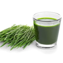 Load image into Gallery viewer, Heavy Duty Stainless Steel Manual Hand Crank Herb, Vegetable &amp; Wheatgrass Juicer | Commercial &amp; Home-The H2O Water Bottles-The H2O™ Water Bottles - Buy Now Order For Sale Best Price Online Shop Purchase Review Amazon Walmart Best Buy Free Shipping